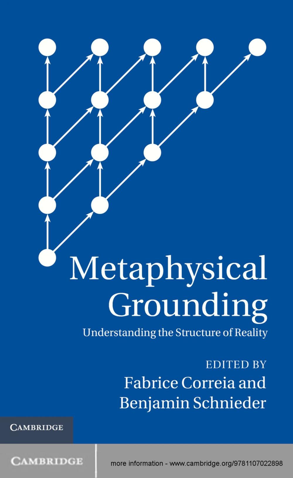 Big bigCover of Metaphysical Grounding