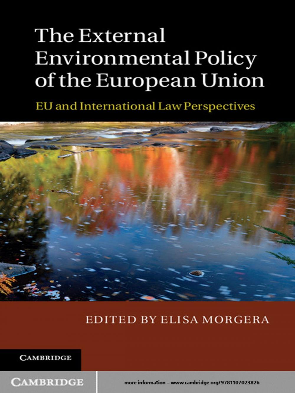 Big bigCover of The External Environmental Policy of the European Union