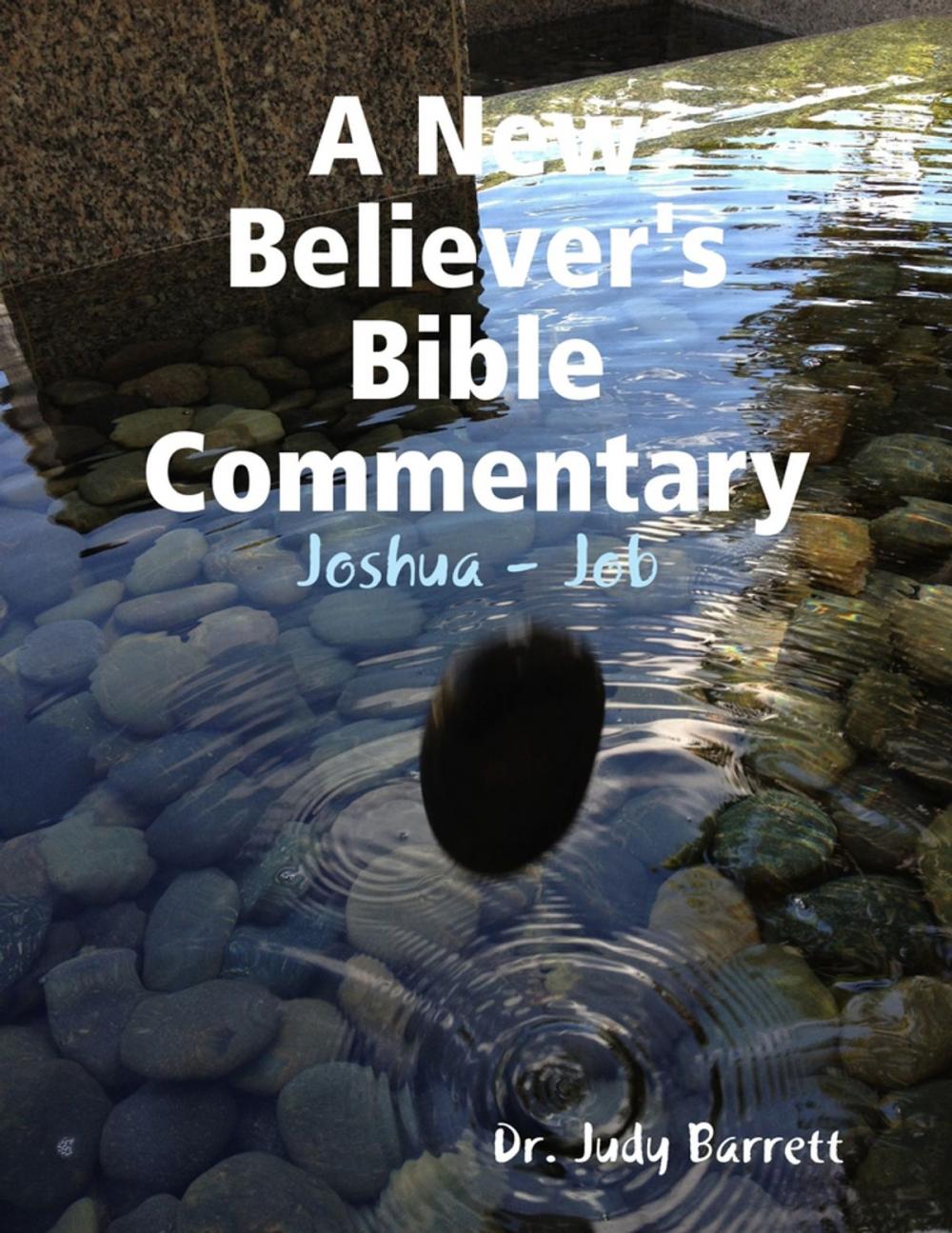 Big bigCover of A New Believer's Bible Commentary: Joshua - Job