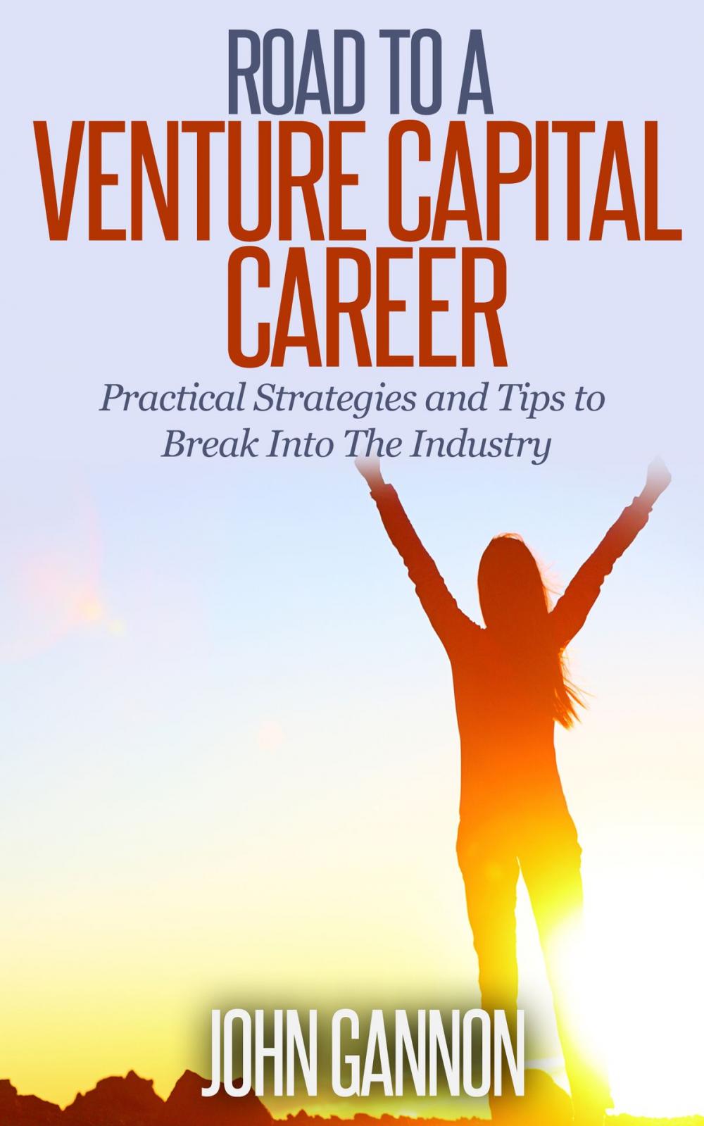 Big bigCover of Road to a Venture Capital Career: Practical Strategies and Tips to Break Into The Industry