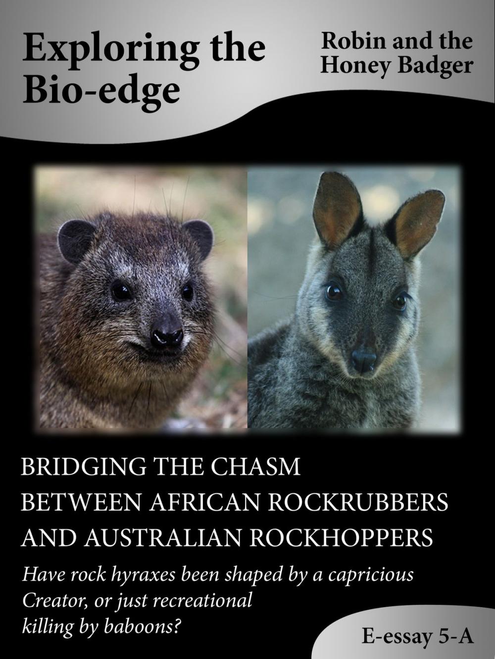 Big bigCover of Bridging The Chasm Between African Rockrubbers And Australian Rockhoppers