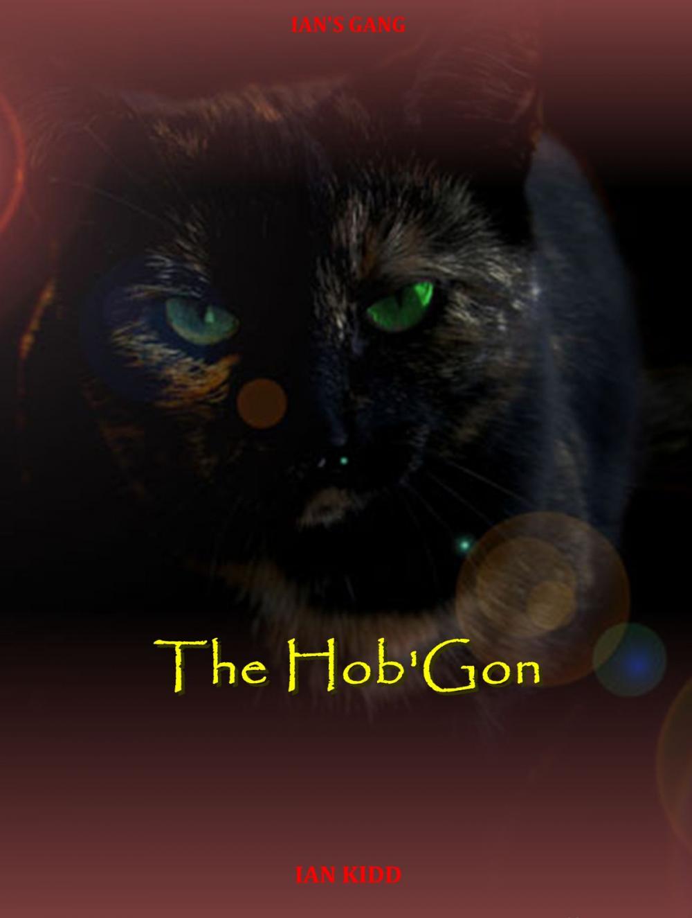 Big bigCover of Ian's Gang: The Hob'Gon