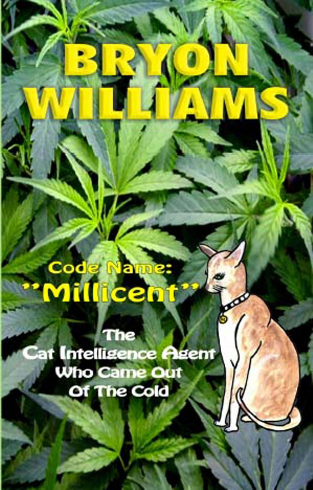 Big bigCover of Code Name Millicent.