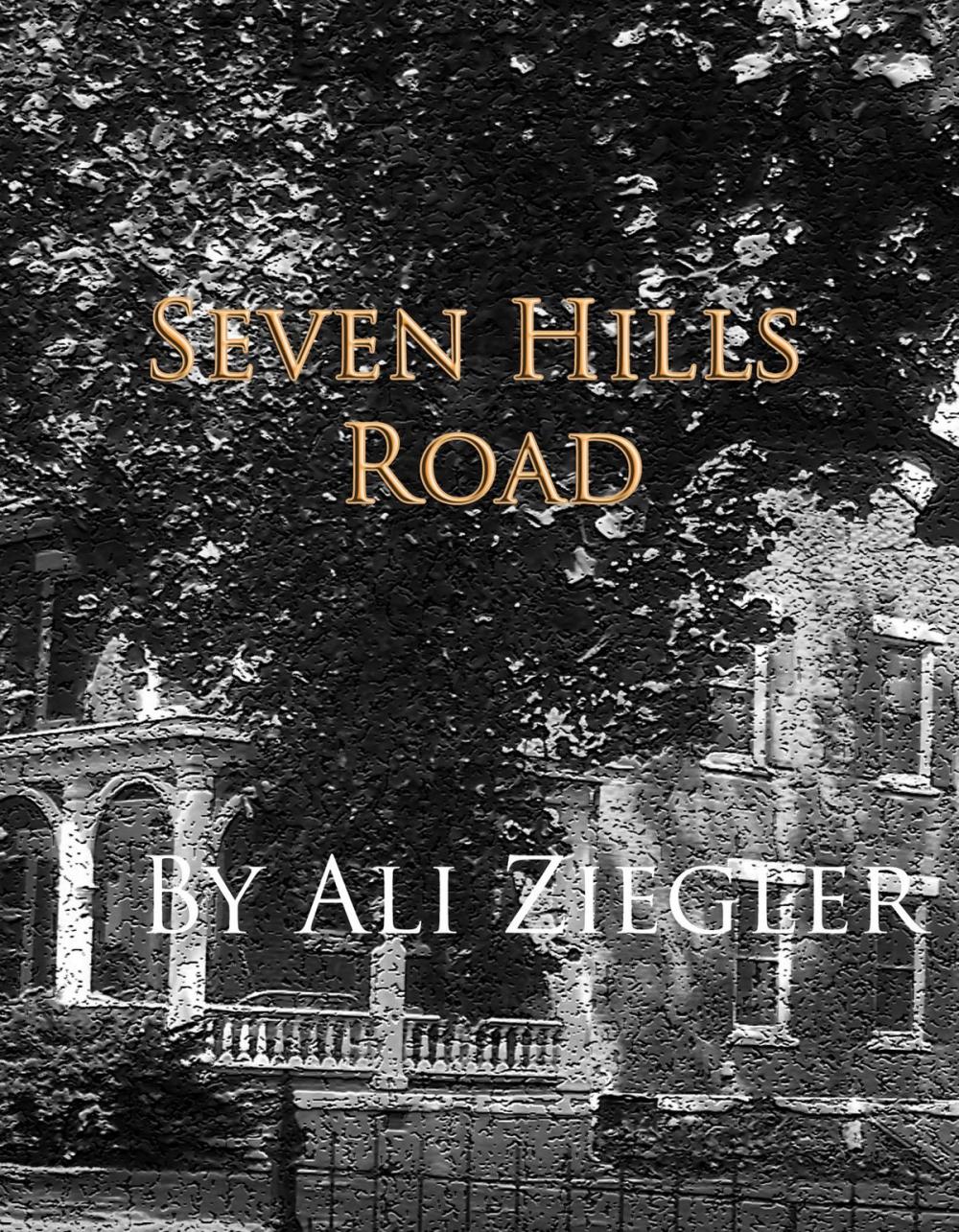 Big bigCover of Seven Hills Road