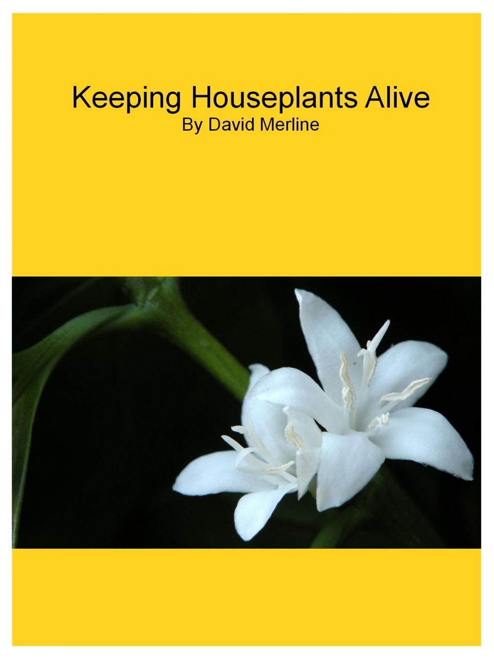 Big bigCover of Keeping Houseplants Alive