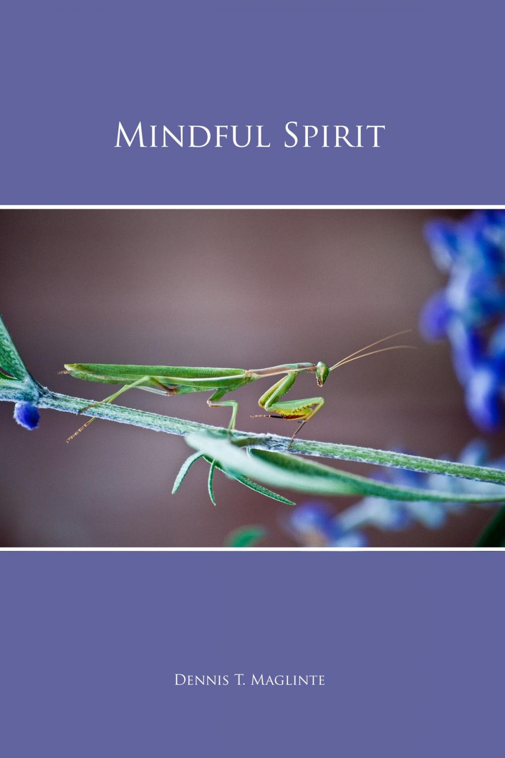 Big bigCover of Mindful Spirit