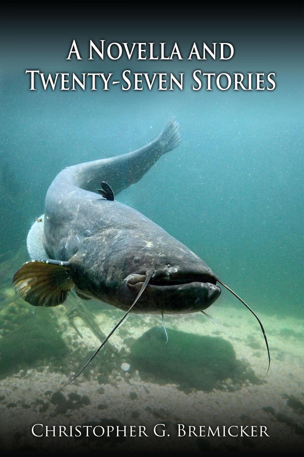 Big bigCover of A Novella and Twenty-Seven Stories