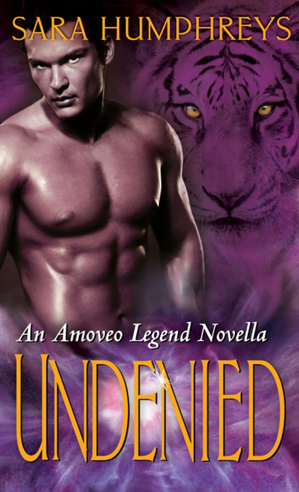 Big bigCover of Undenied