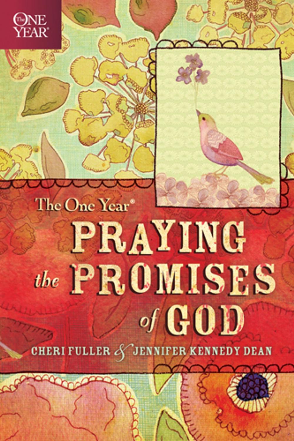 Big bigCover of The One Year Praying the Promises of God