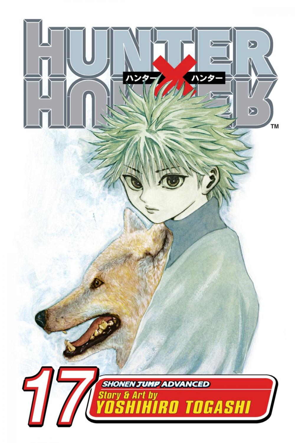 Big bigCover of Hunter x Hunter, Vol. 17