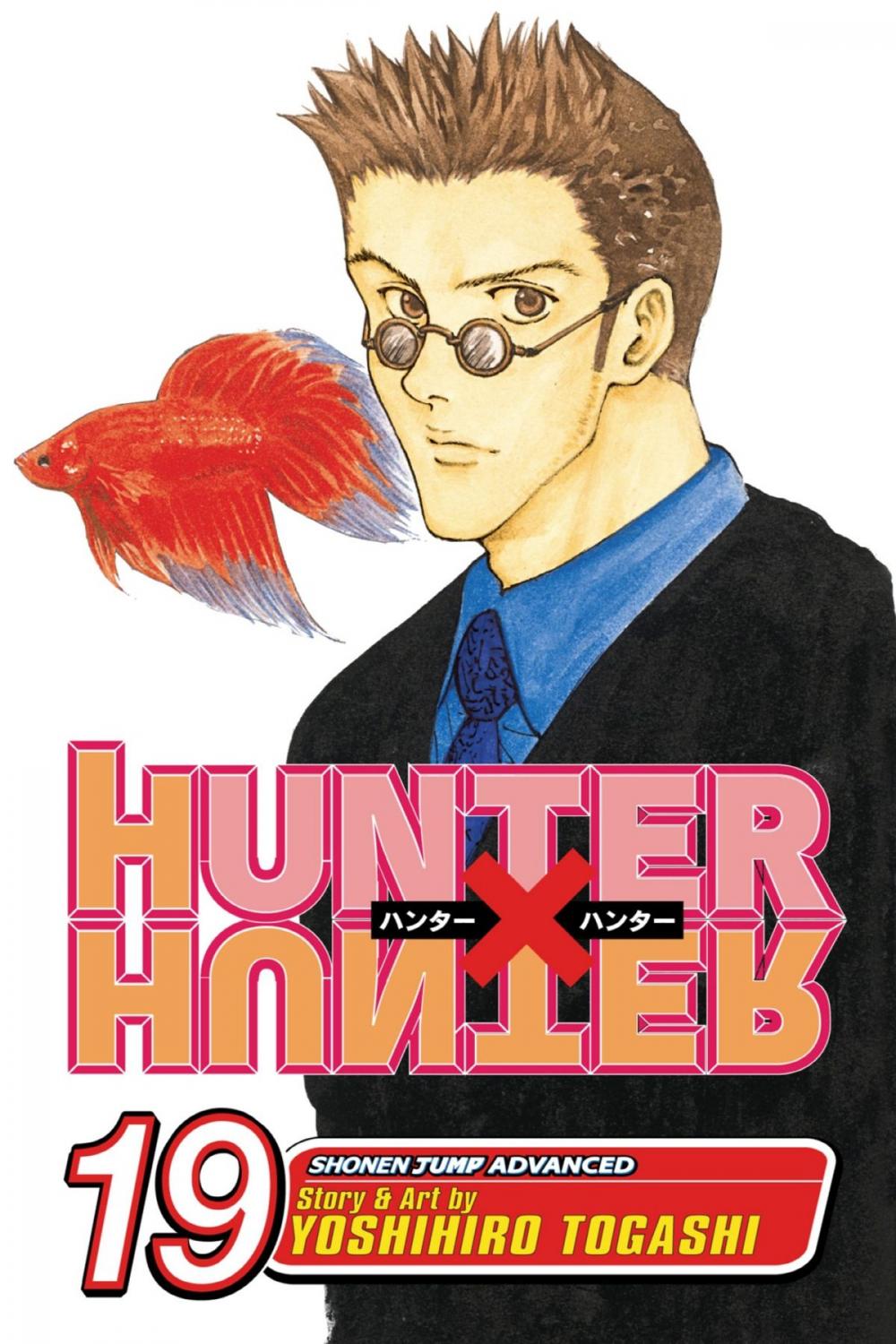 Big bigCover of Hunter x Hunter, Vol. 19