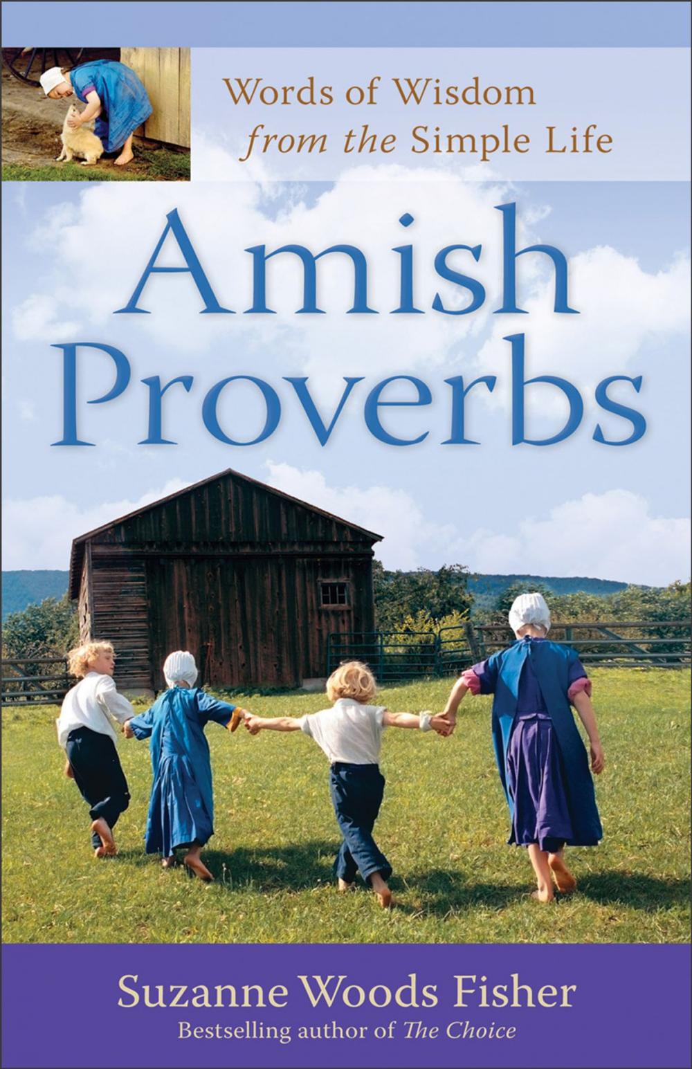 Big bigCover of Amish Proverbs