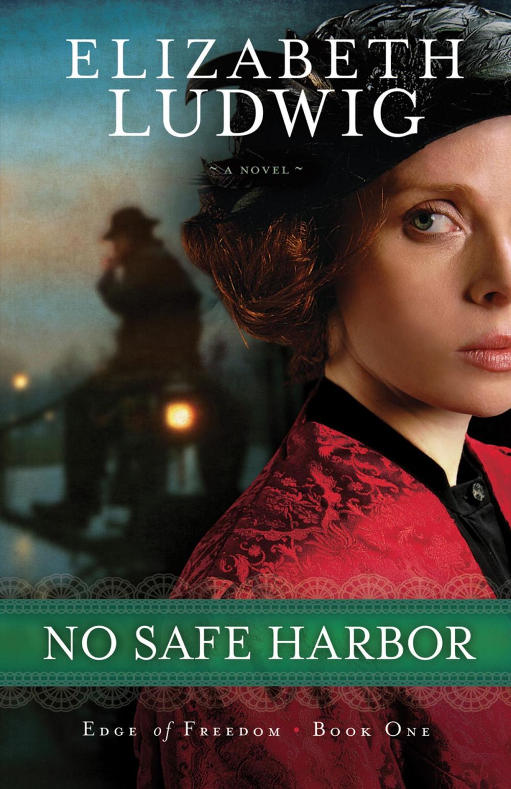 Big bigCover of No Safe Harbor (Edge of Freedom Book #1)