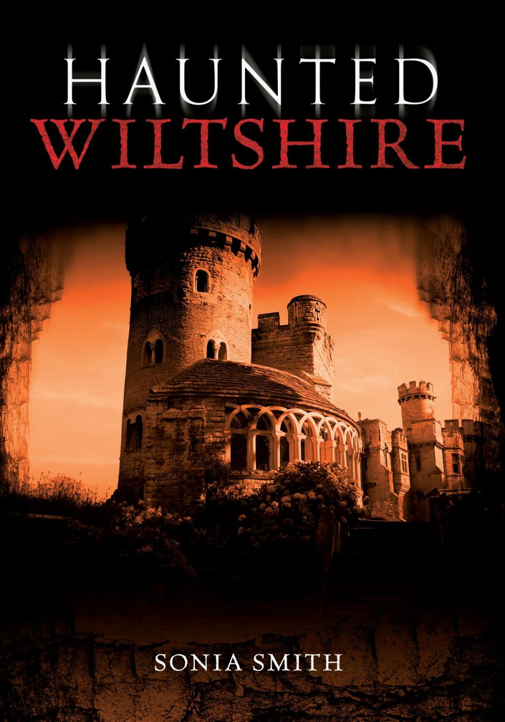 Big bigCover of Haunted Wiltshire