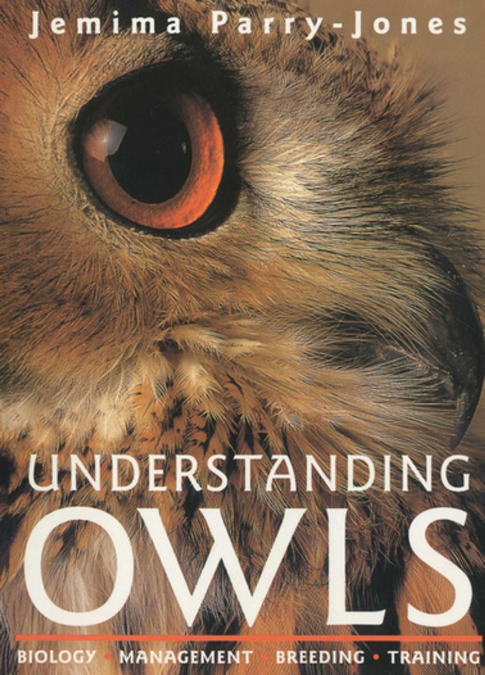 Big bigCover of Understanding Owls