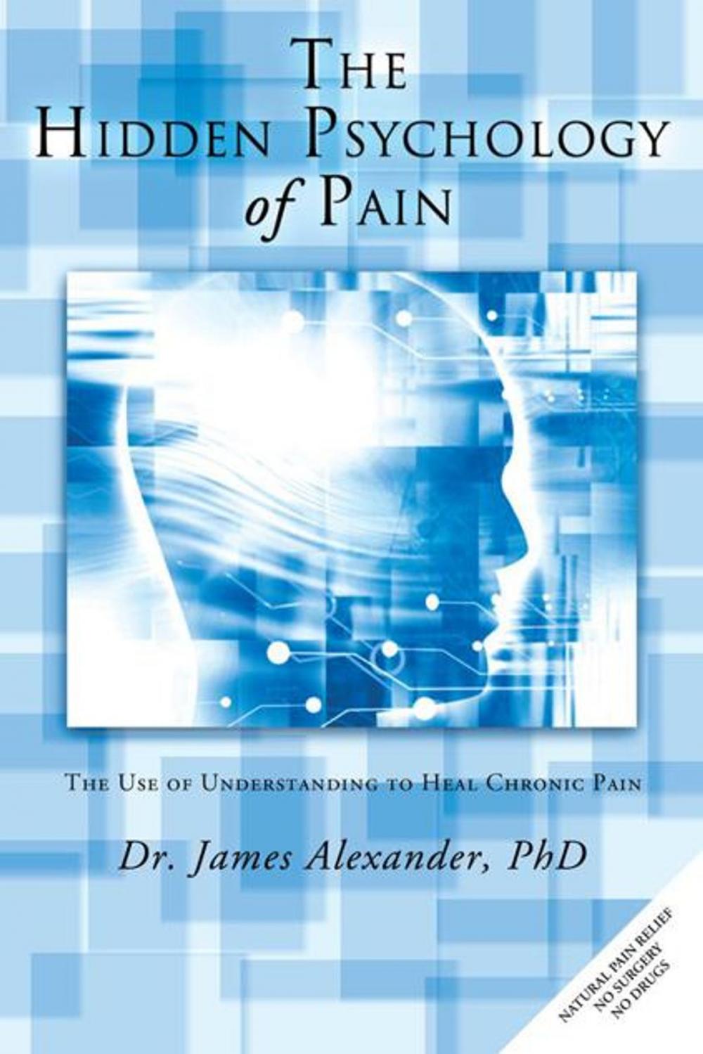 Big bigCover of The Hidden Psychology of Pain