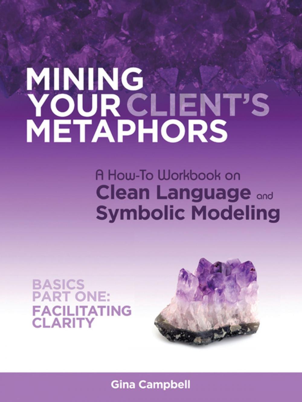 Big bigCover of Mining Your Client's Metaphors