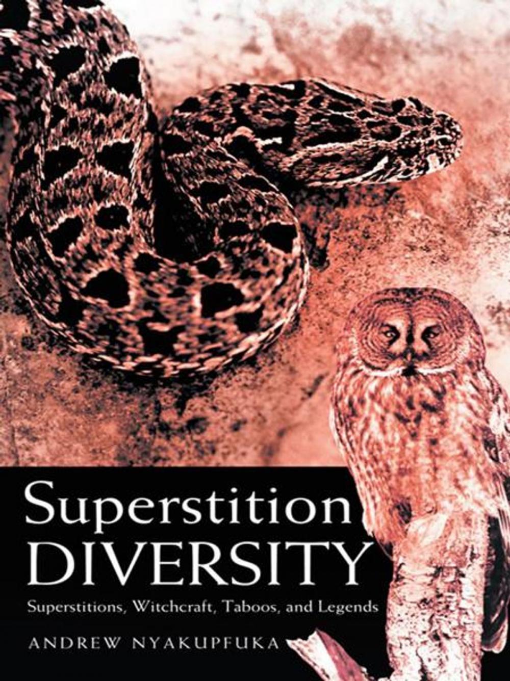 Big bigCover of Superstition Diversity