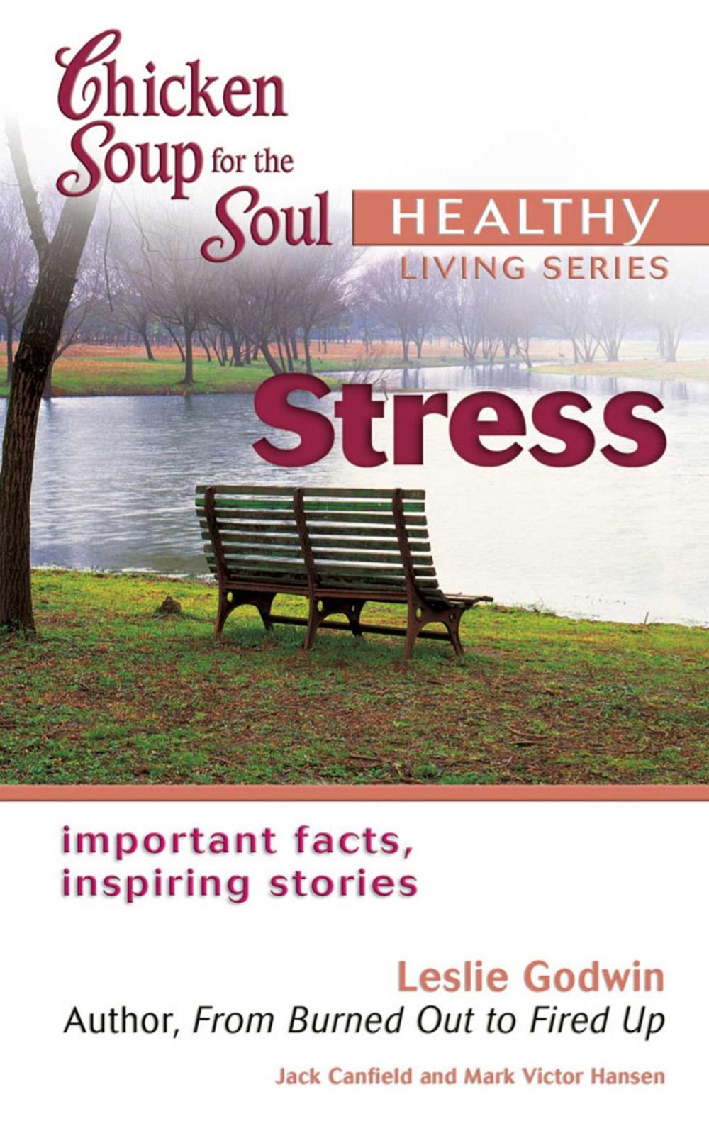 Big bigCover of Chicken Soup for the Soul Healthy Living Series: Stress