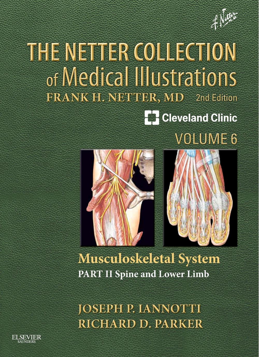 Big bigCover of The Netter Collection of Medical Illustrations: Musculoskeletal System, Volume 6, Part II - Spine and Lower Limb E-Book