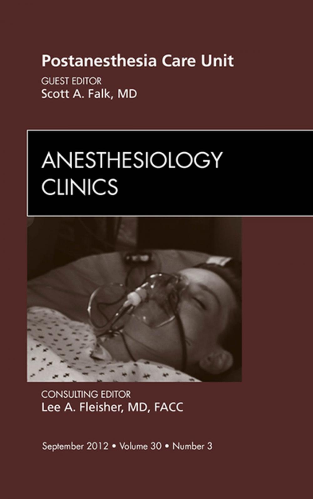 Big bigCover of Post Anesthesia Care Unit, An Issue of Anesthesiology Clinics - E-Book