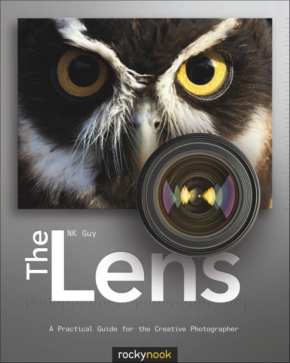 Big bigCover of The Lens