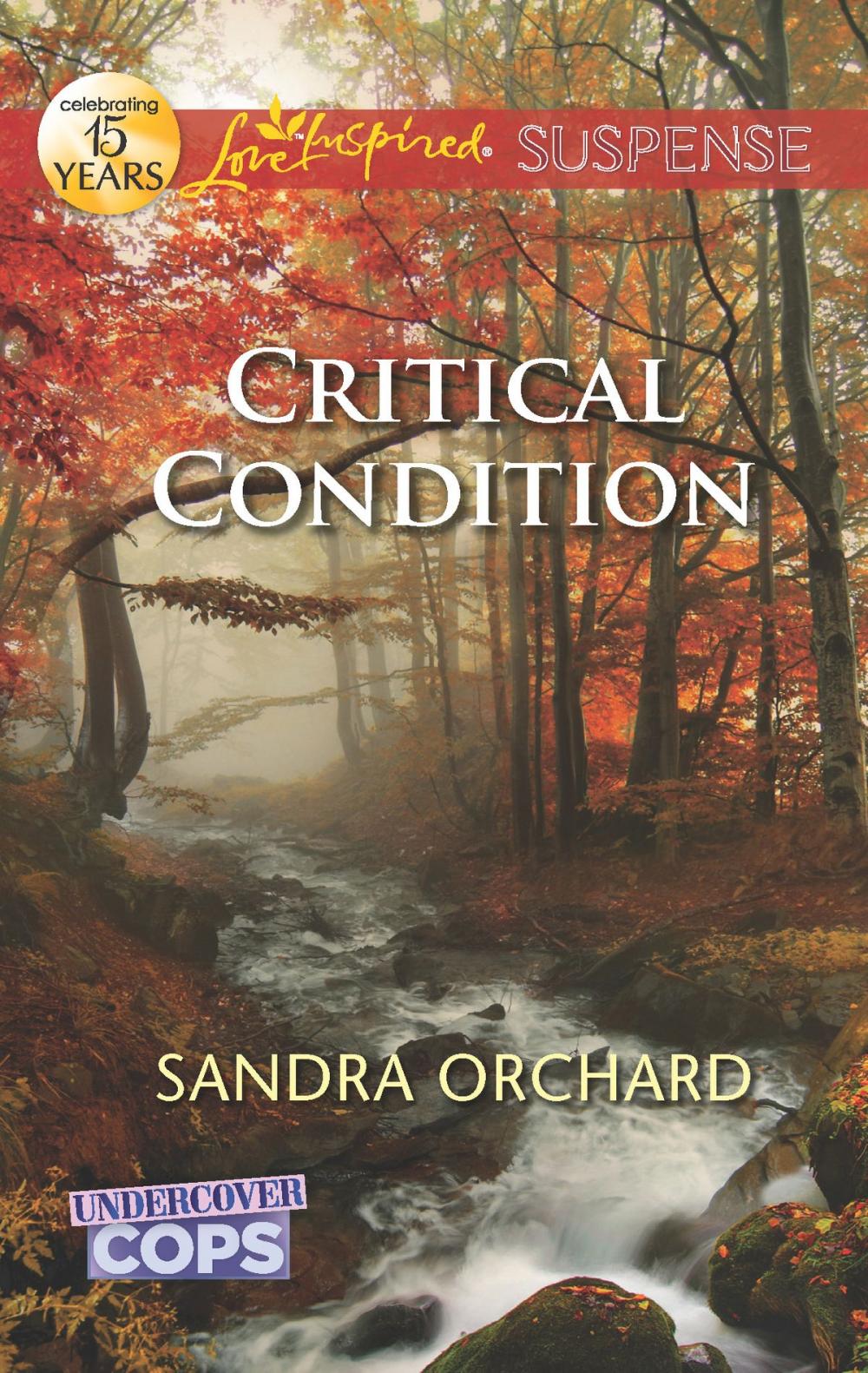 Big bigCover of Critical Condition