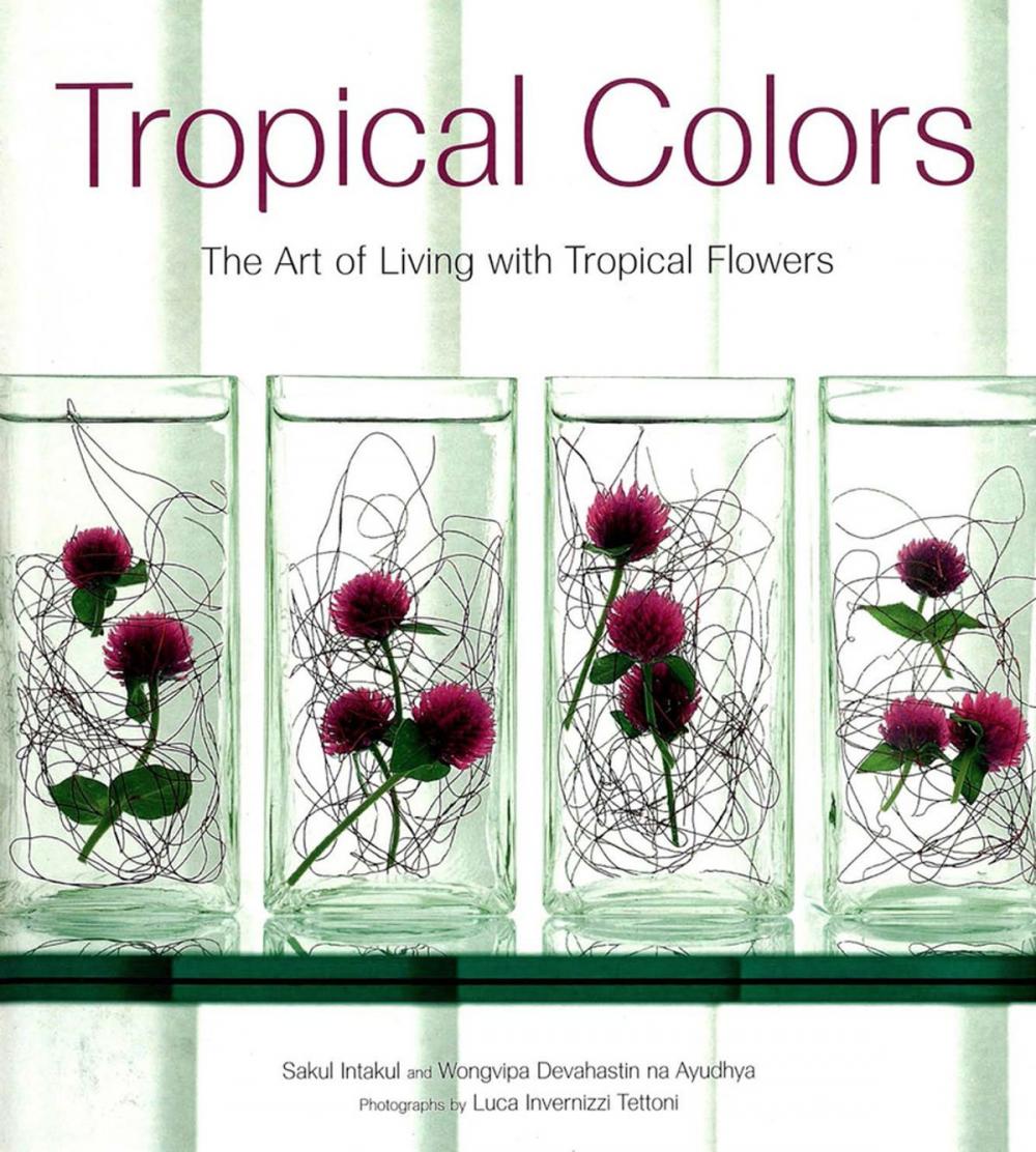 Big bigCover of Tropical Colors