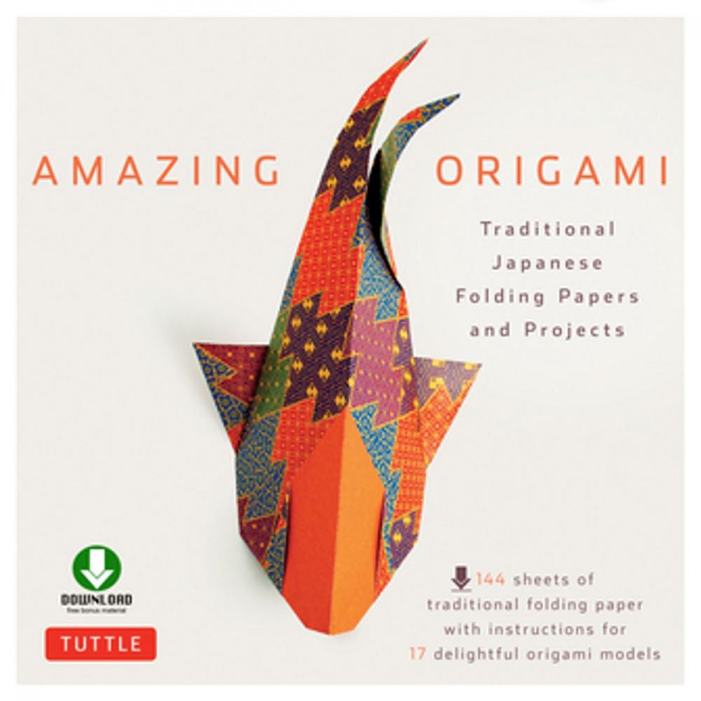 Big bigCover of Amazing Origami