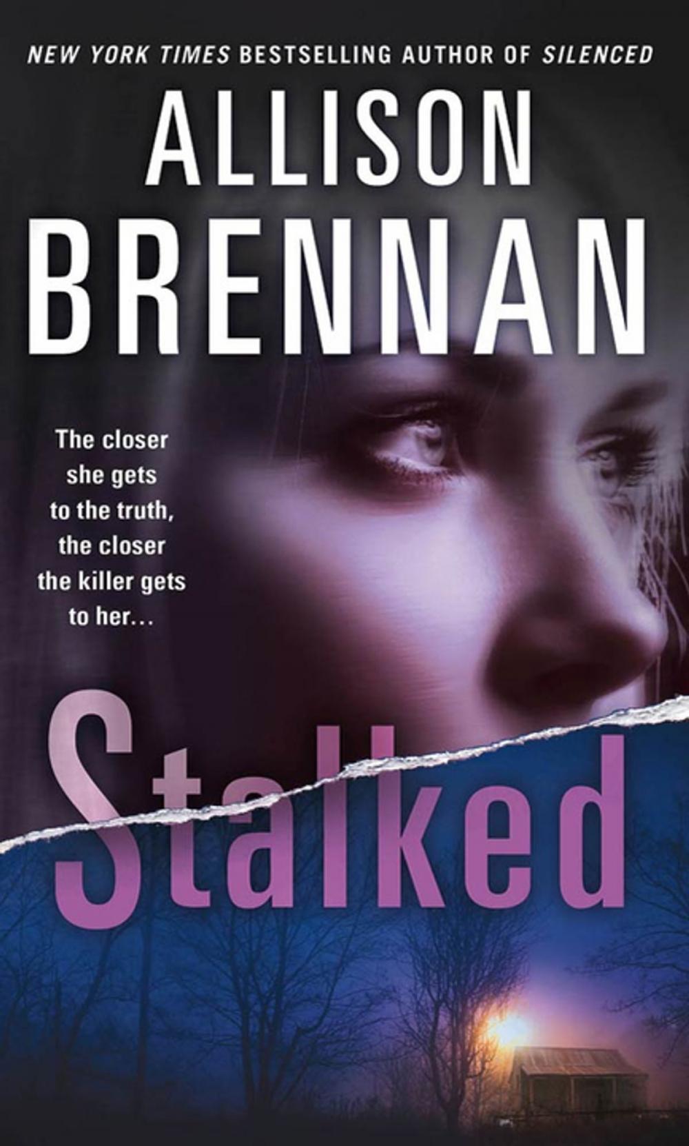 Big bigCover of Stalked