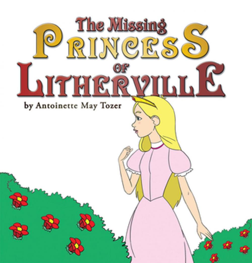 Big bigCover of The Missing Princess of Litherville