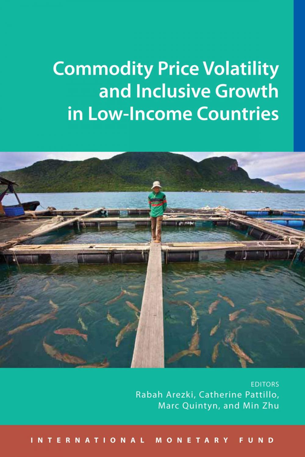 Big bigCover of Commodity Price Volatility and Inclusive Growth in Low-Income Countries