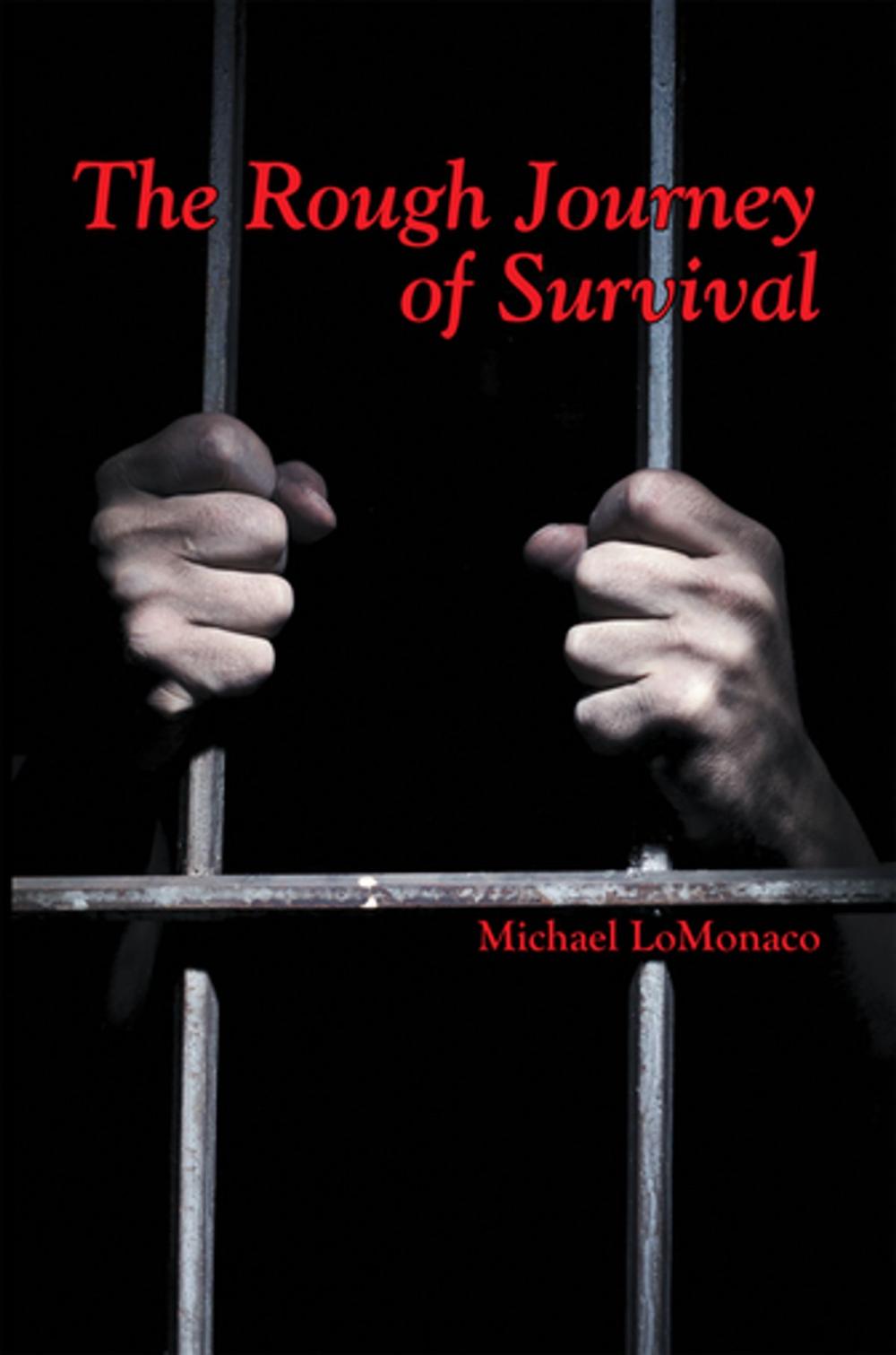 Big bigCover of The Rough Journey of Survival