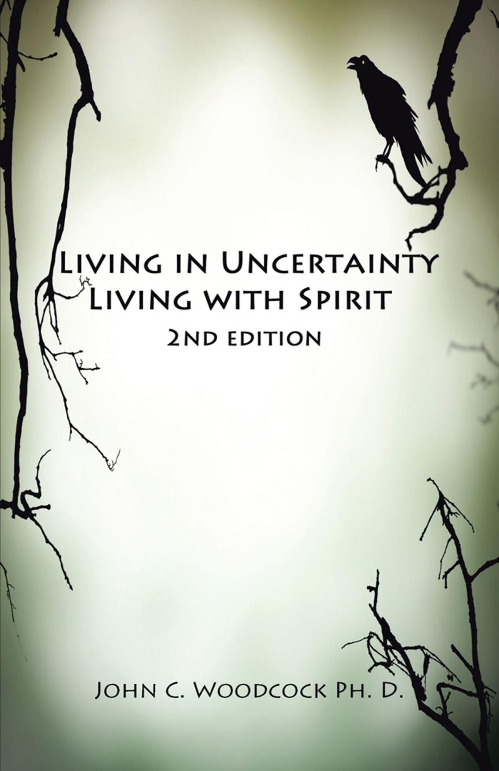 Big bigCover of Living in Uncertainty, Living with Spirit