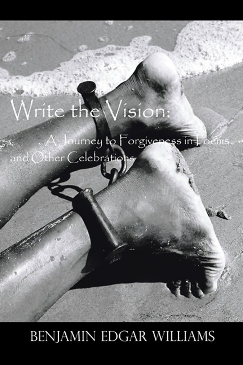 Big bigCover of Write the Vision: a Journey to Forgiveness in Poems and Other Celebrations