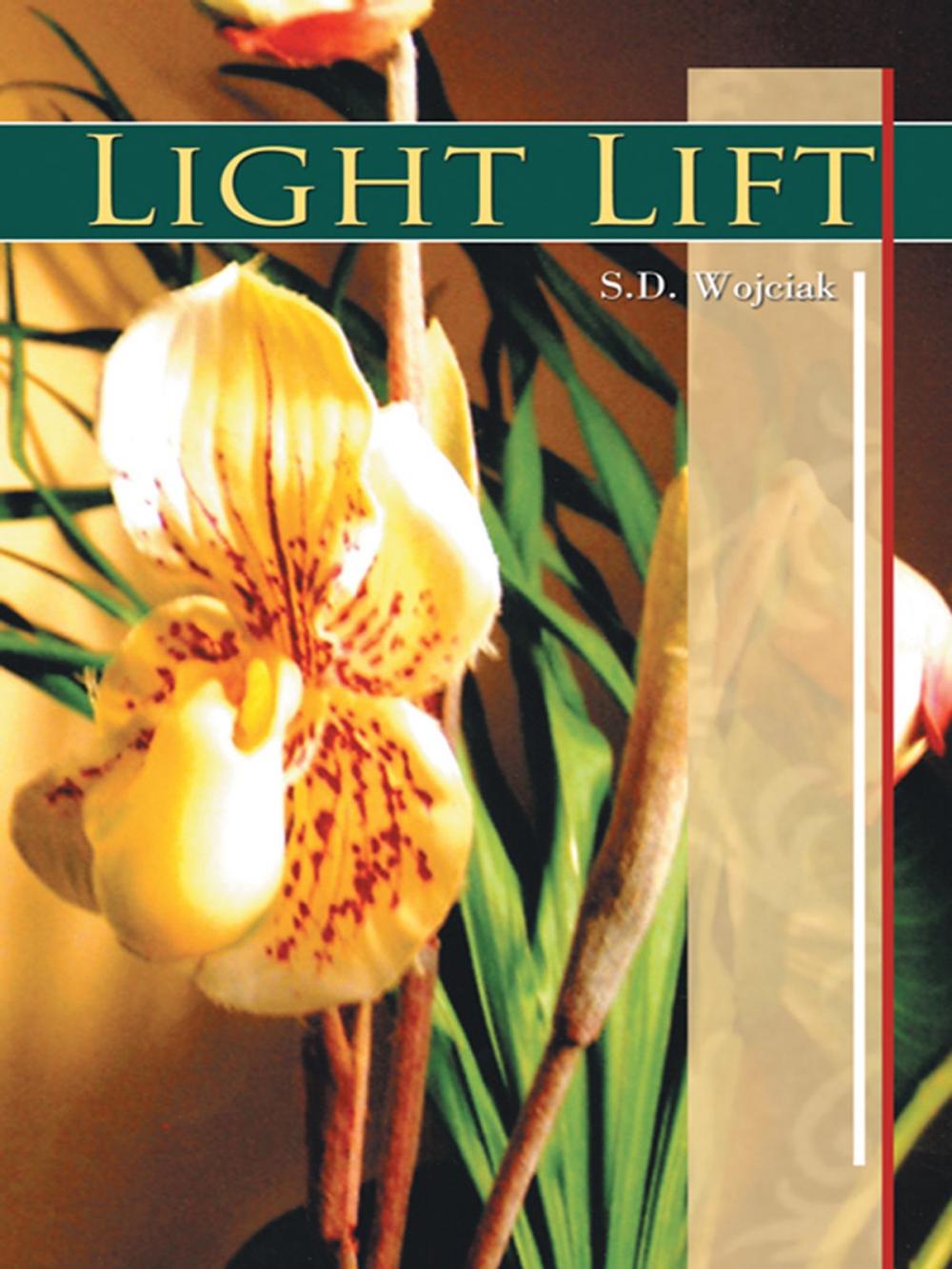 Big bigCover of Light Lift