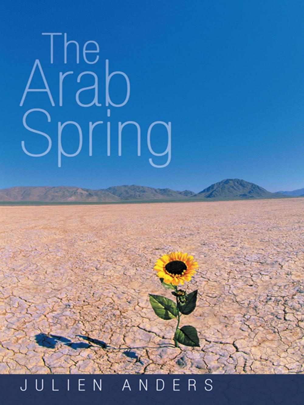 Big bigCover of The Arab Spring