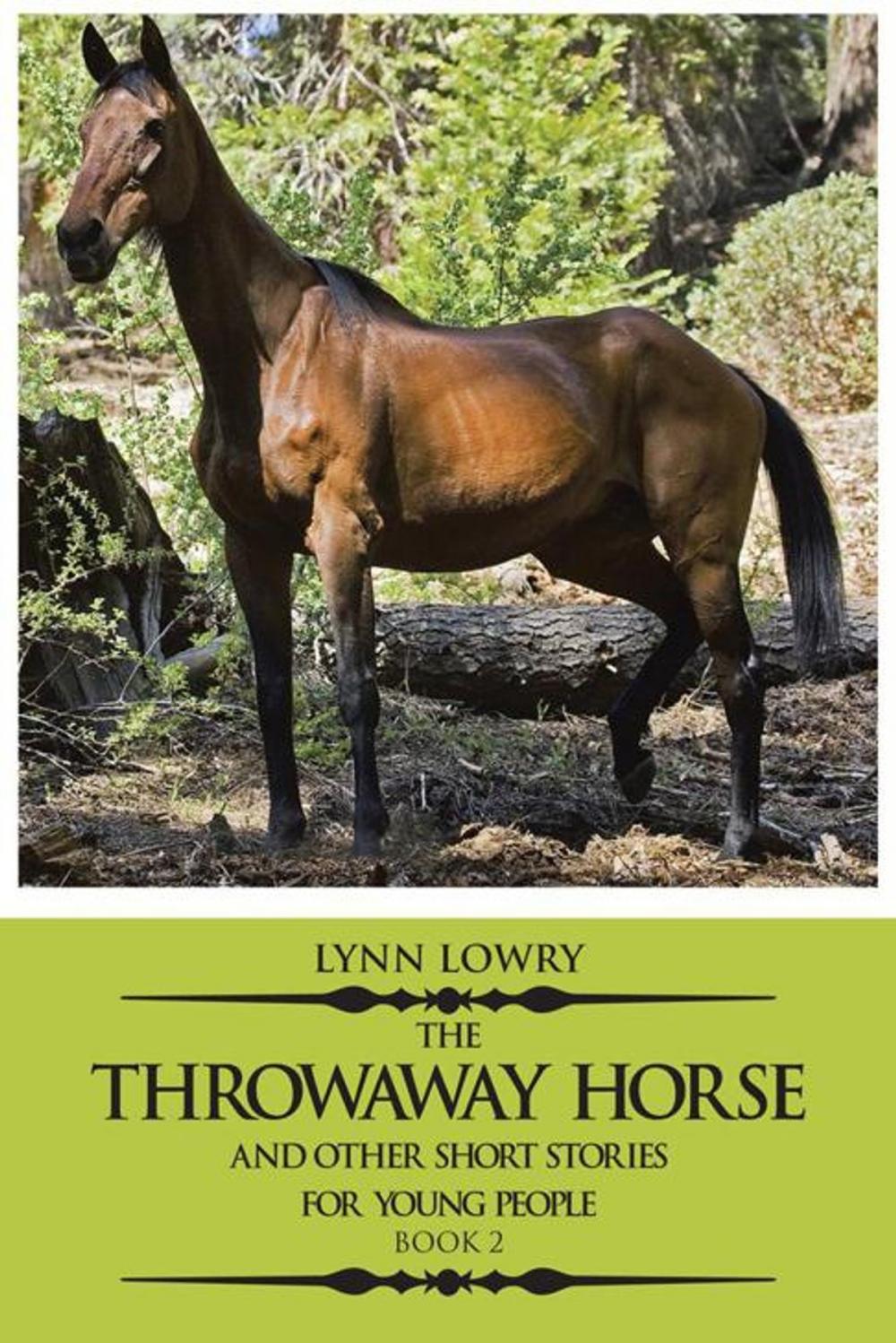 Big bigCover of The Throwaway Horse and Other Short Stories for Young People