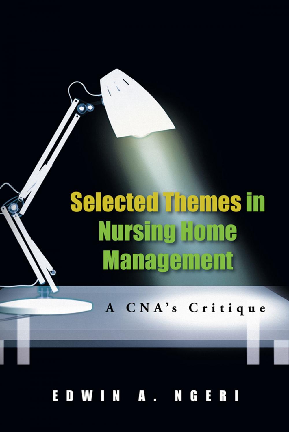 Big bigCover of Selected Themes in Nursing Home Management