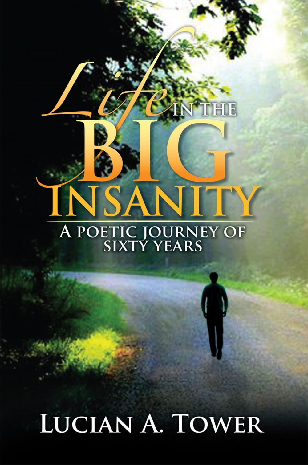 Big bigCover of Life in the Big Insanity