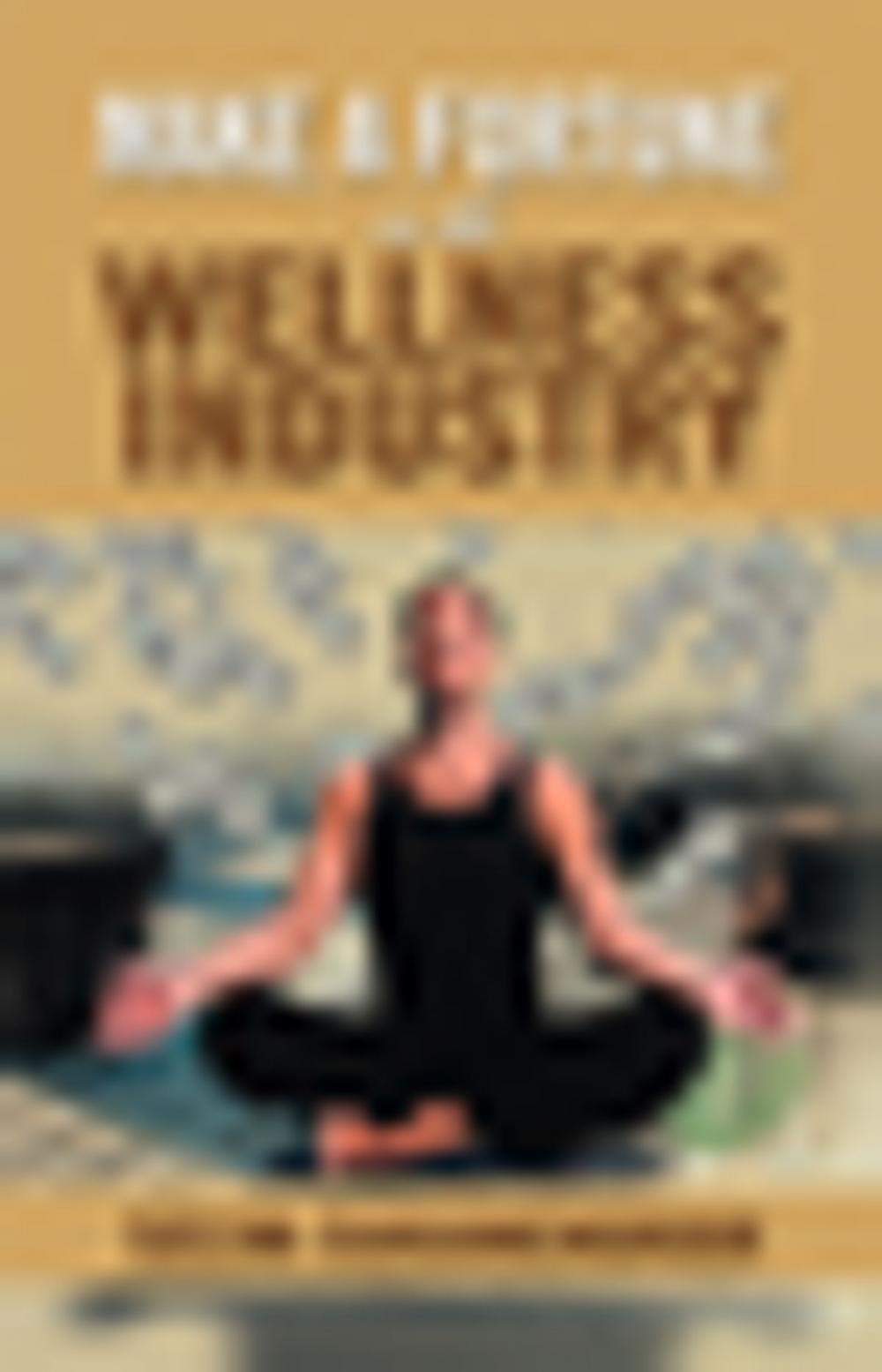 Big bigCover of Make a Fortune in the Wellness Industry