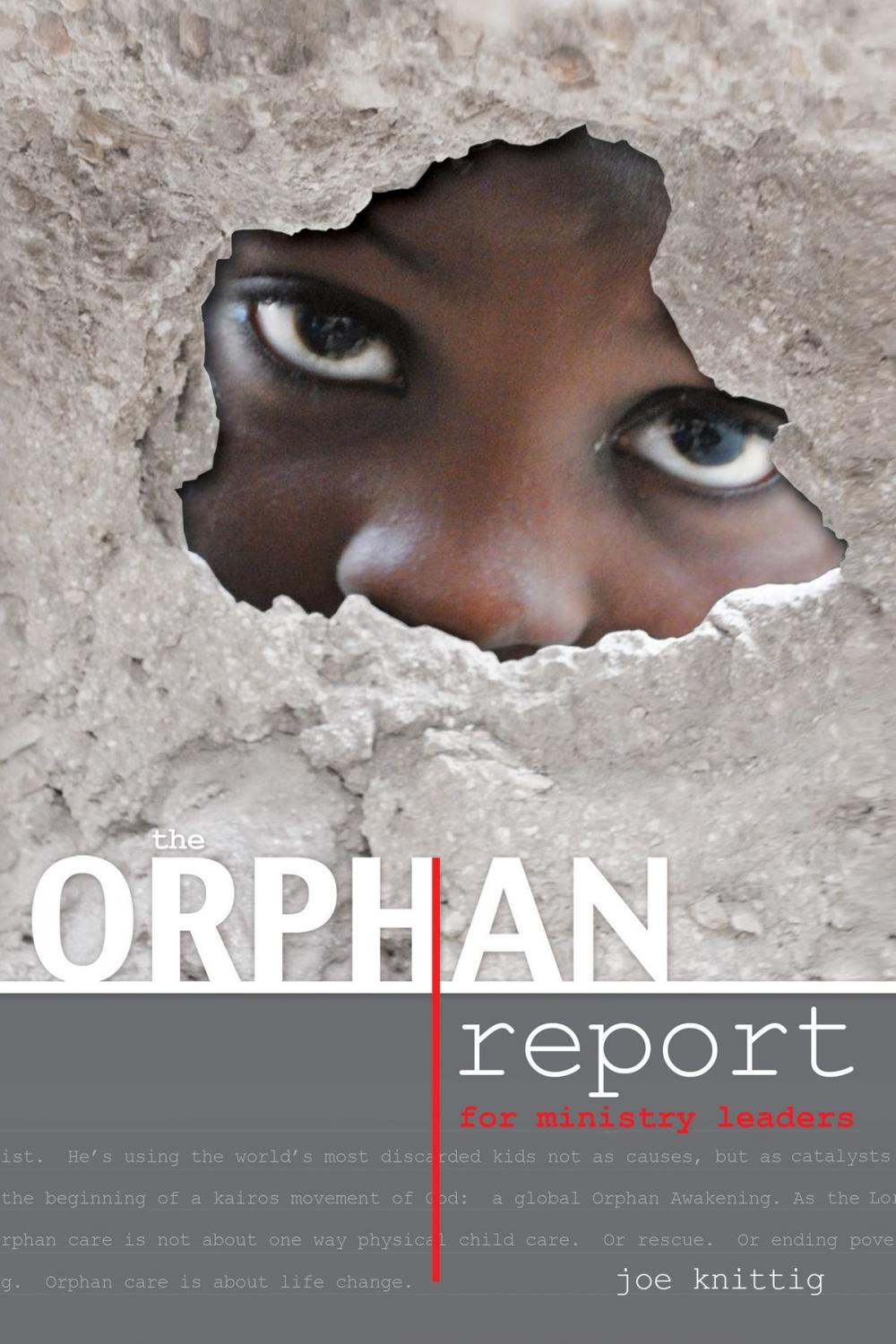 Big bigCover of The Orphan Report - For Ministry Leaders