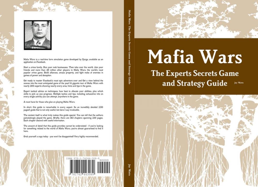 Big bigCover of Mafia Wars: The Experts Secrets Game and Strategy Guide