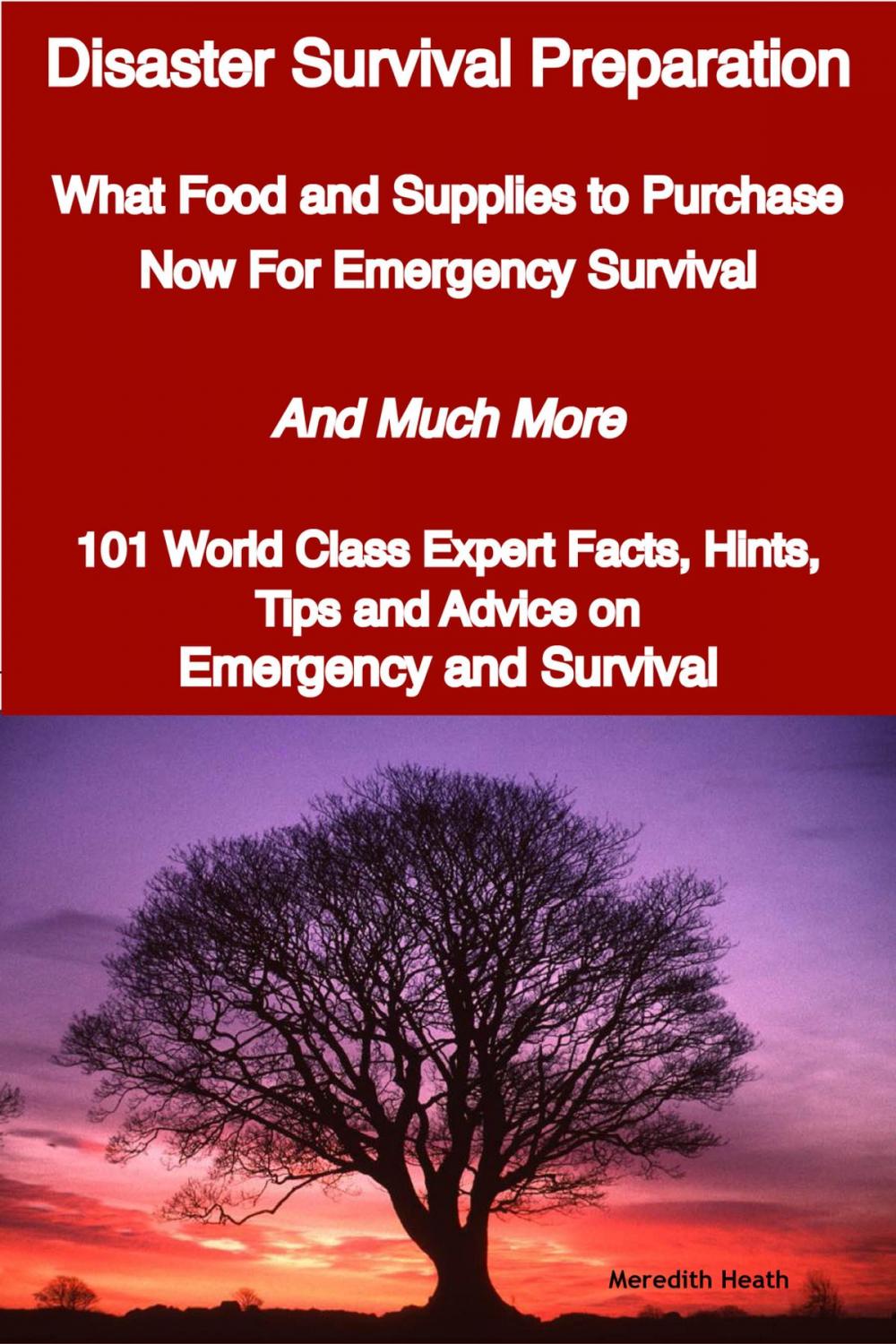 Big bigCover of Disaster Survival Preparation - What Food and Supplies to Purchase Now For Emergency Survival - And Much More - 101 World Class Expert Facts, Hints, Tips and Advice on Survival and Emergency