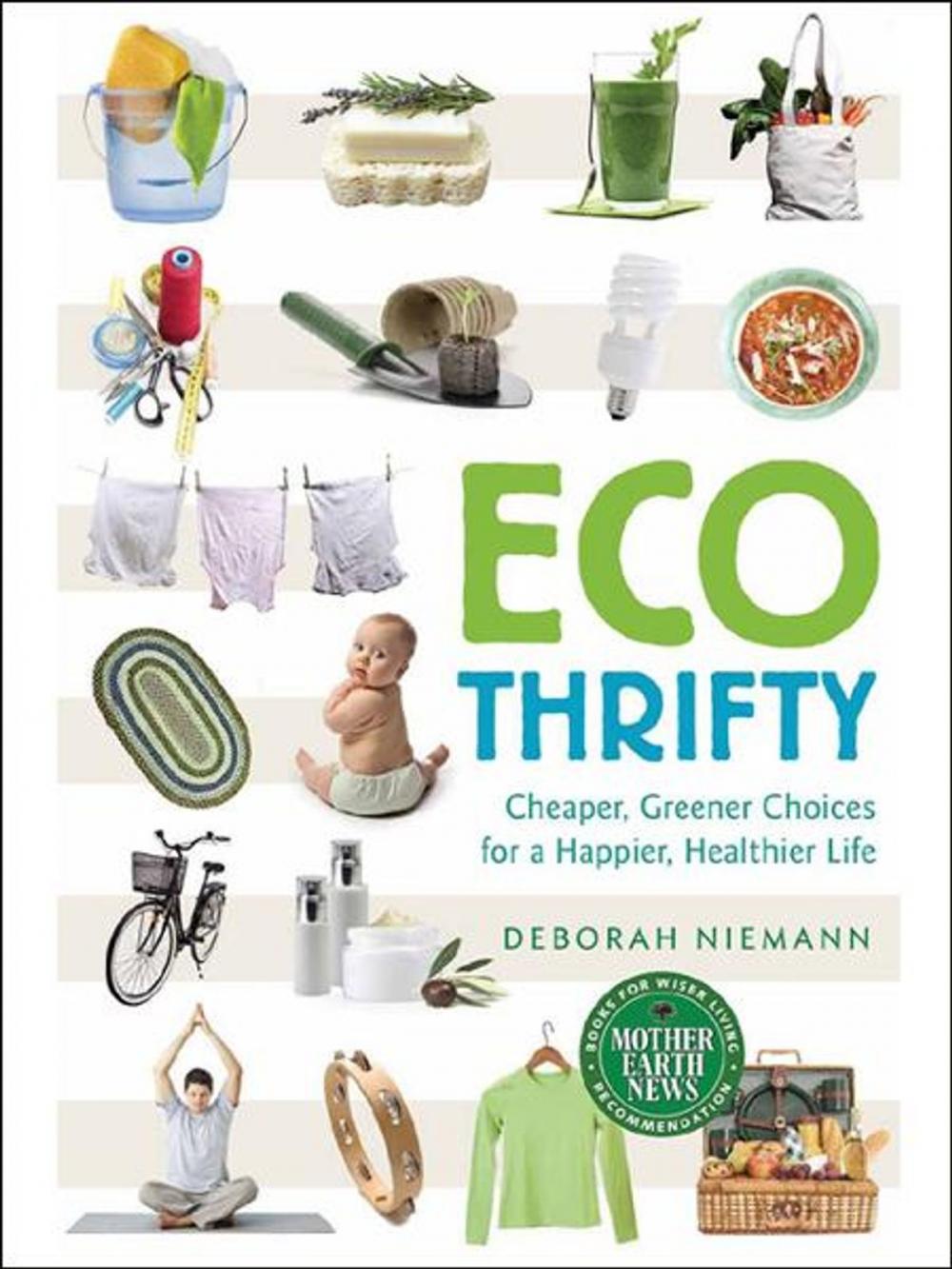 Big bigCover of Ecothrifty