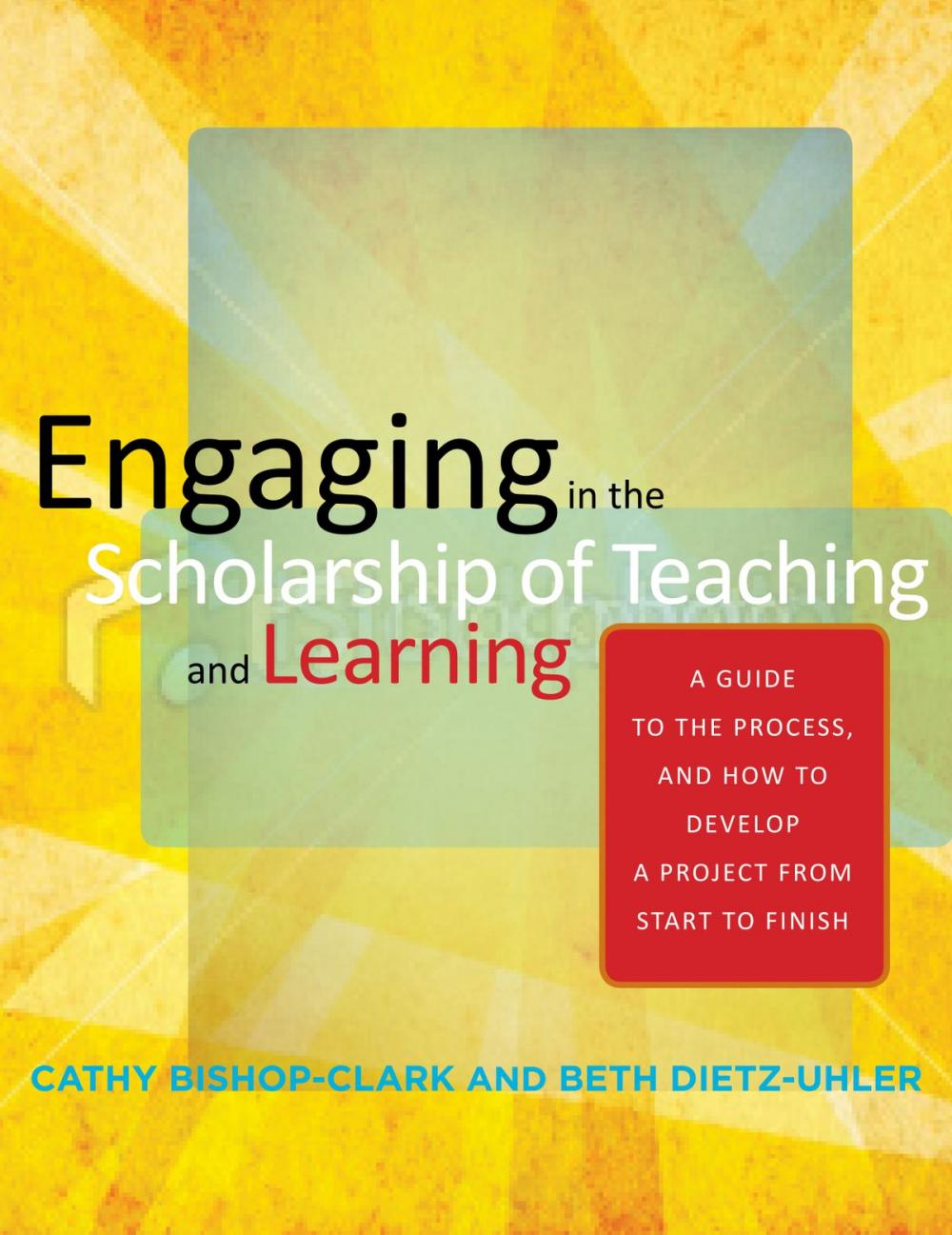 Big bigCover of Engaging in the Scholarship of Teaching and Learning