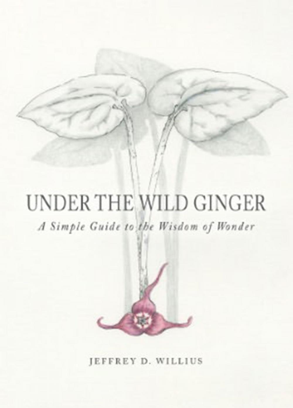 Big bigCover of Under the Wild Ginger