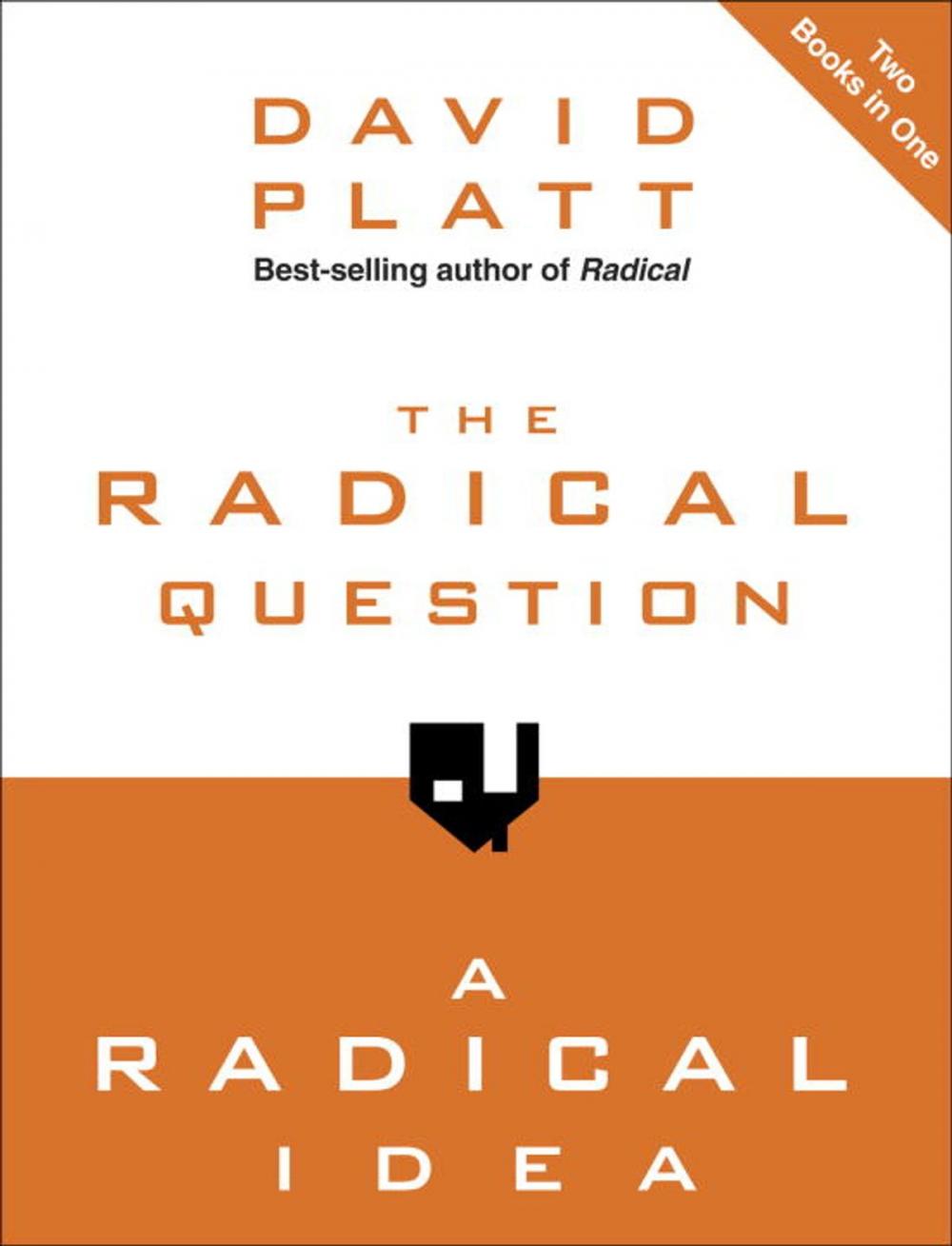 Big bigCover of The Radical Question and A Radical Idea