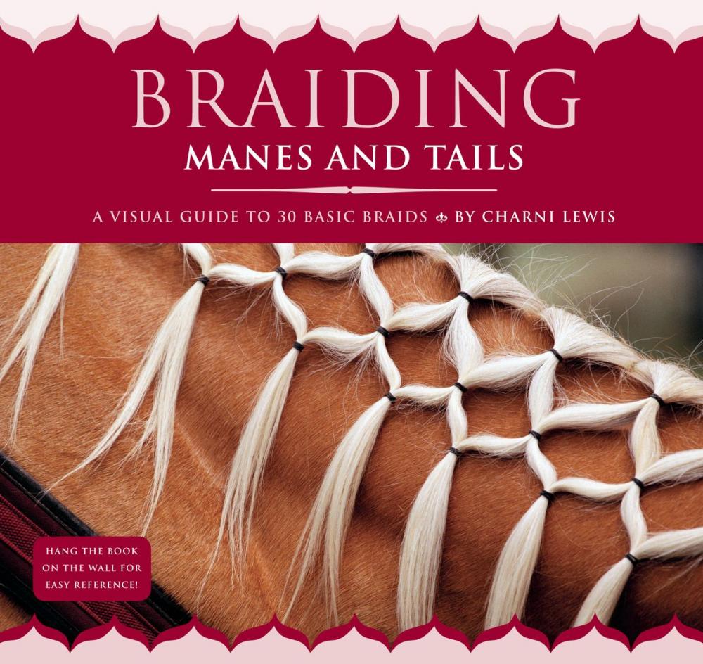 Big bigCover of Braiding Manes and Tails