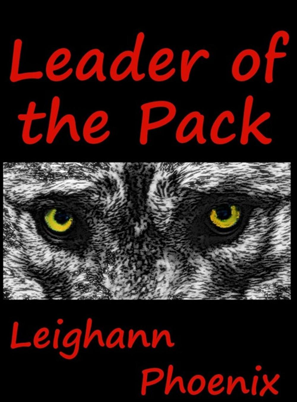 Big bigCover of Leader of the Pack